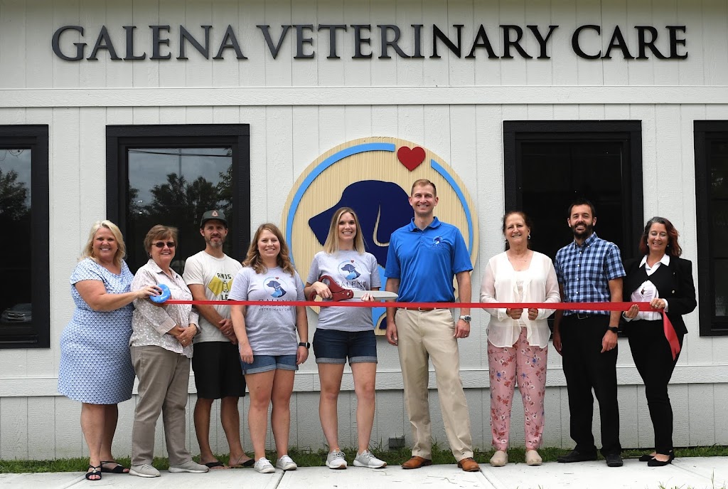 Galena Veterinary Care | 51 Middle St, Galena, OH 43021 | Phone: (614) 321-9199