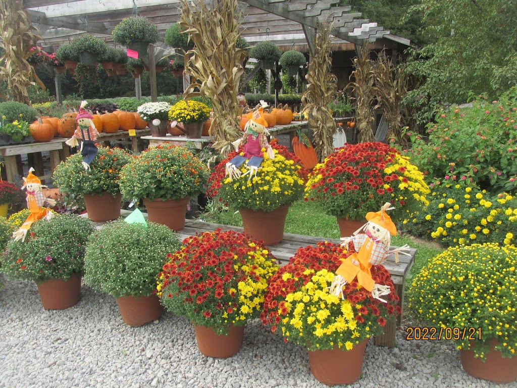 Ambrosia Farms & Greenhouse | 303 Sherborne Rd, Lucasville, OH 45648 | Phone: (740) 820-5294