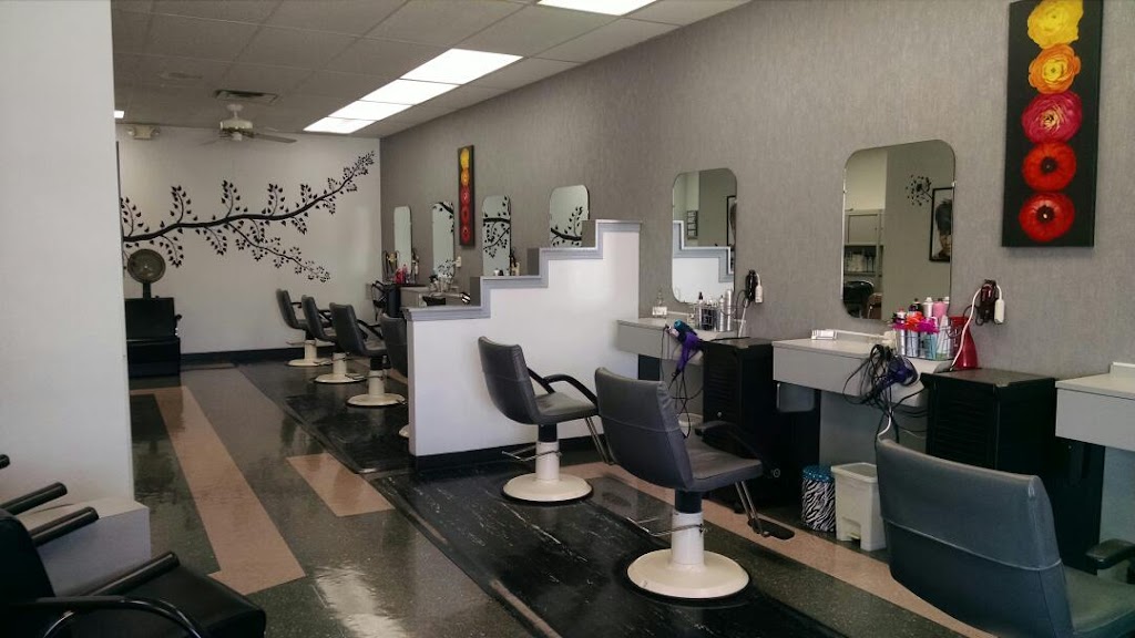 Mane Attraction Hair Studio | 204 Great Oaks Trail, Wadsworth, OH 44281 | Phone: (330) 336-8682
