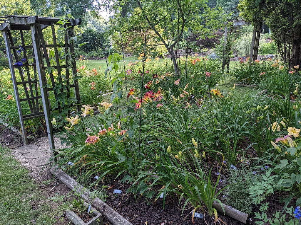 Proper Place Perennials - Daylilies & Hosta plants for sale | 2889 Rohrer Rd, Wadsworth, OH 44281 | Phone: (330) 336-7592