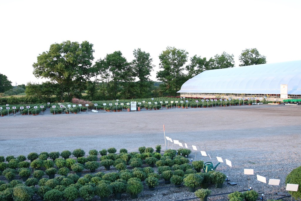 Ever-Green Greenhouse | 8362 Willett Rd, Plymouth, OH 44865 | Phone: (419) 687-0248