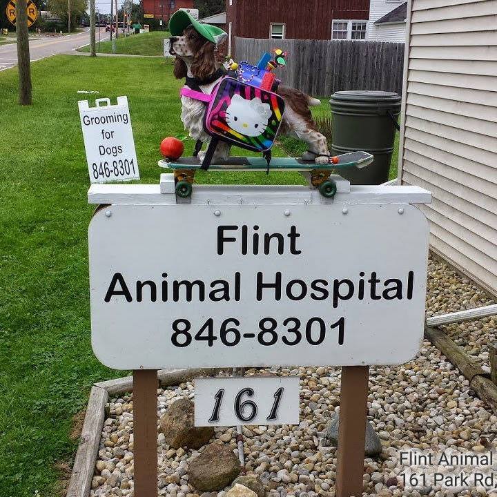 Flint Animal Hospital | 161 Park Rd, Columbus, OH 43235 | Phone: (614) 846-8301