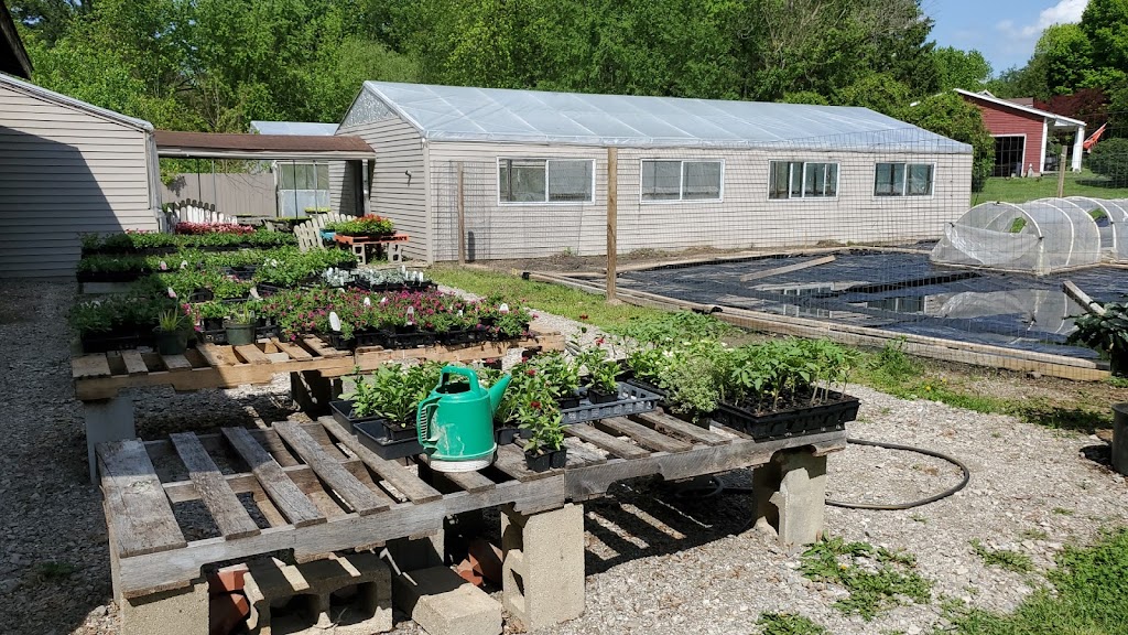 Ortman Family Greenhouse | 25 Reo Dr, Chillicothe, OH 45601 | Phone: (740) 466-8784