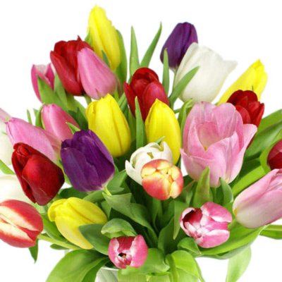 Sams Club Floral | 1070 N Lexington-Springmill Rd, Ontario, OH 44906 | Phone: (419) 747-9939