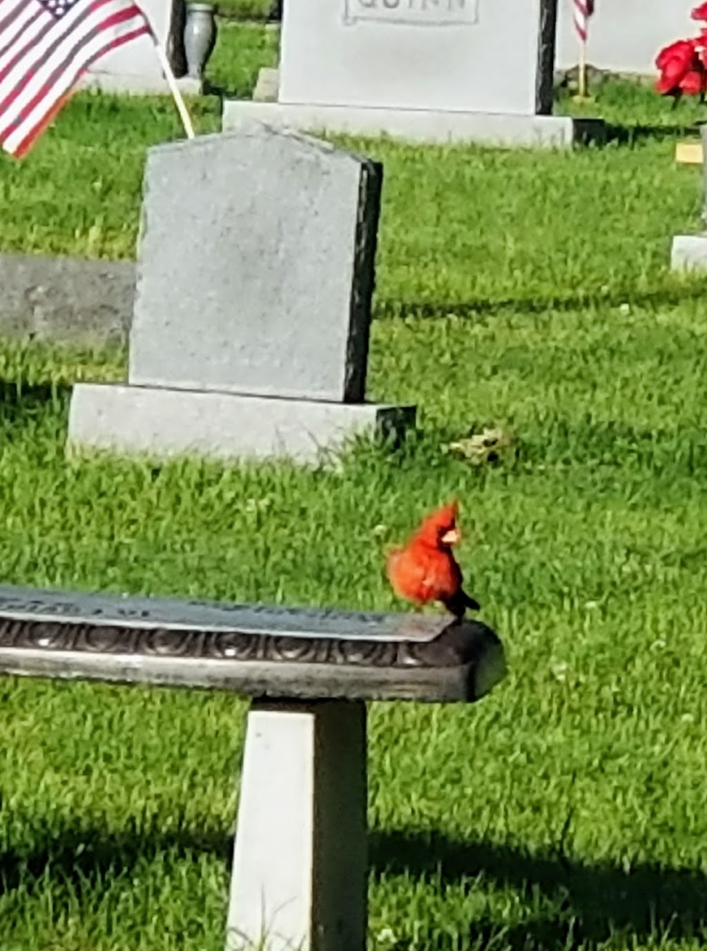 Grove City Cemetery | Grove City, OH 43123 | Phone: (614) 875-3682