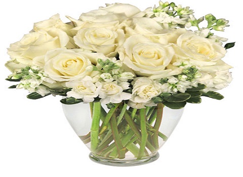 Special Touch Floral Design | 207 Pike St, Manchester, OH 45144 | Phone: (937) 549-1050