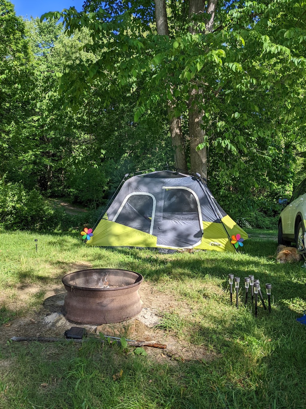 Turkey Hollow Campground | 7836 Township Rd 102, Millersburg, OH 44654 | Phone: (330) 231-6935