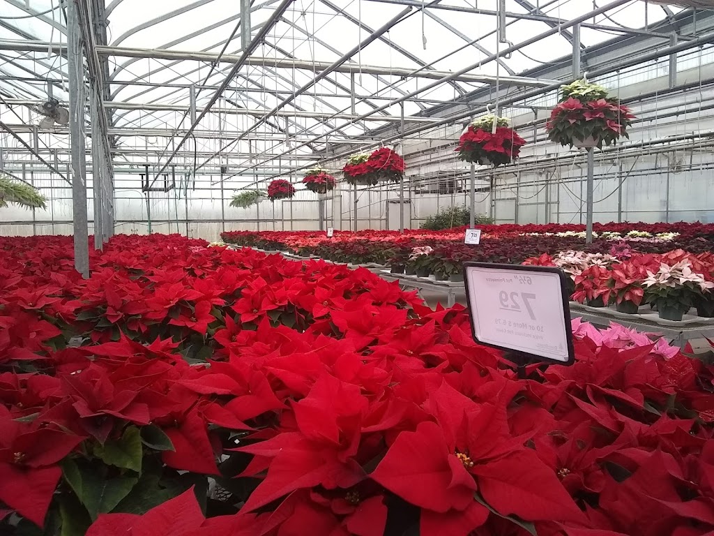 Ever-Green Greenhouse | 8362 Willett Rd, Plymouth, OH 44865 | Phone: (419) 687-0248